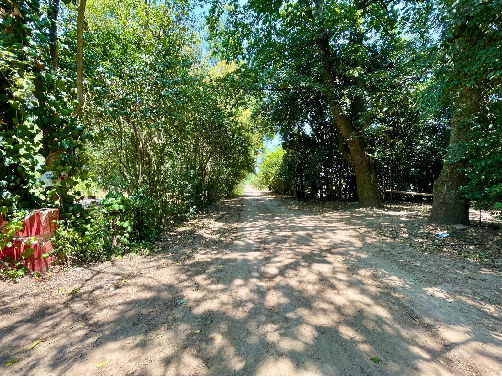 Foto 19
