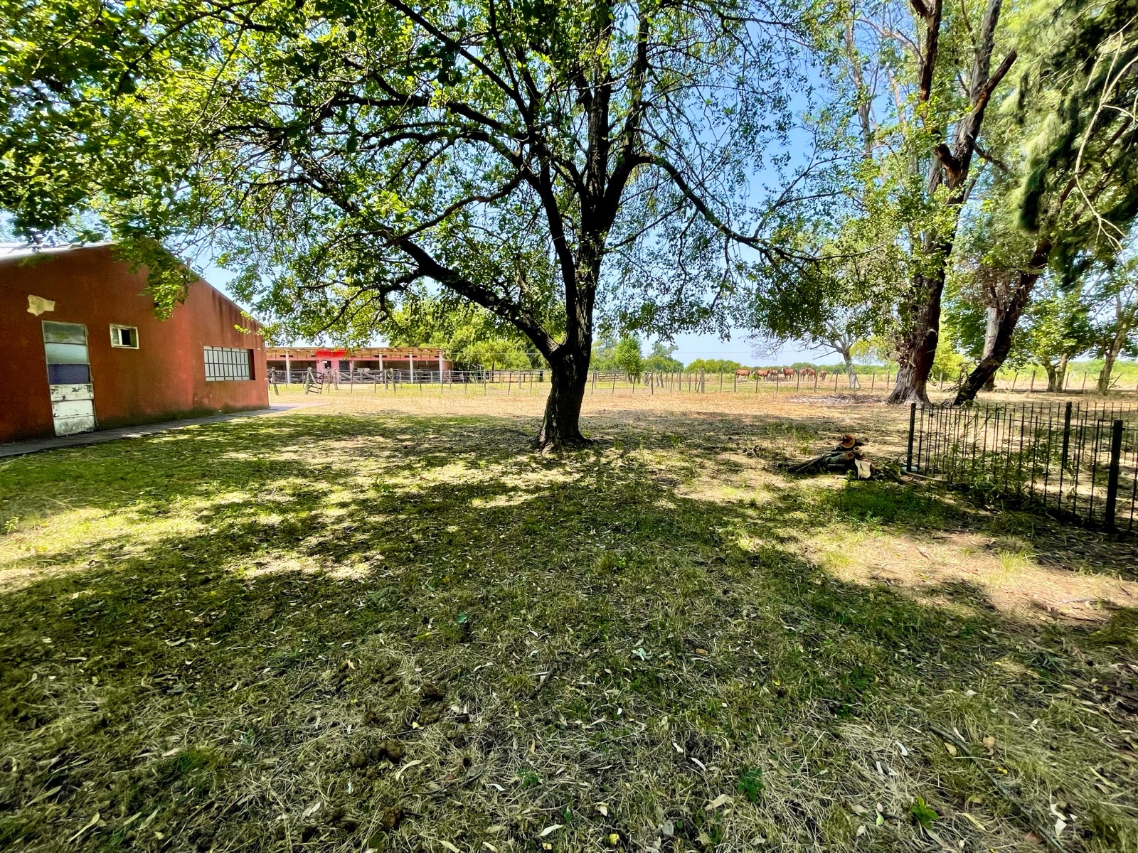 Foto 115