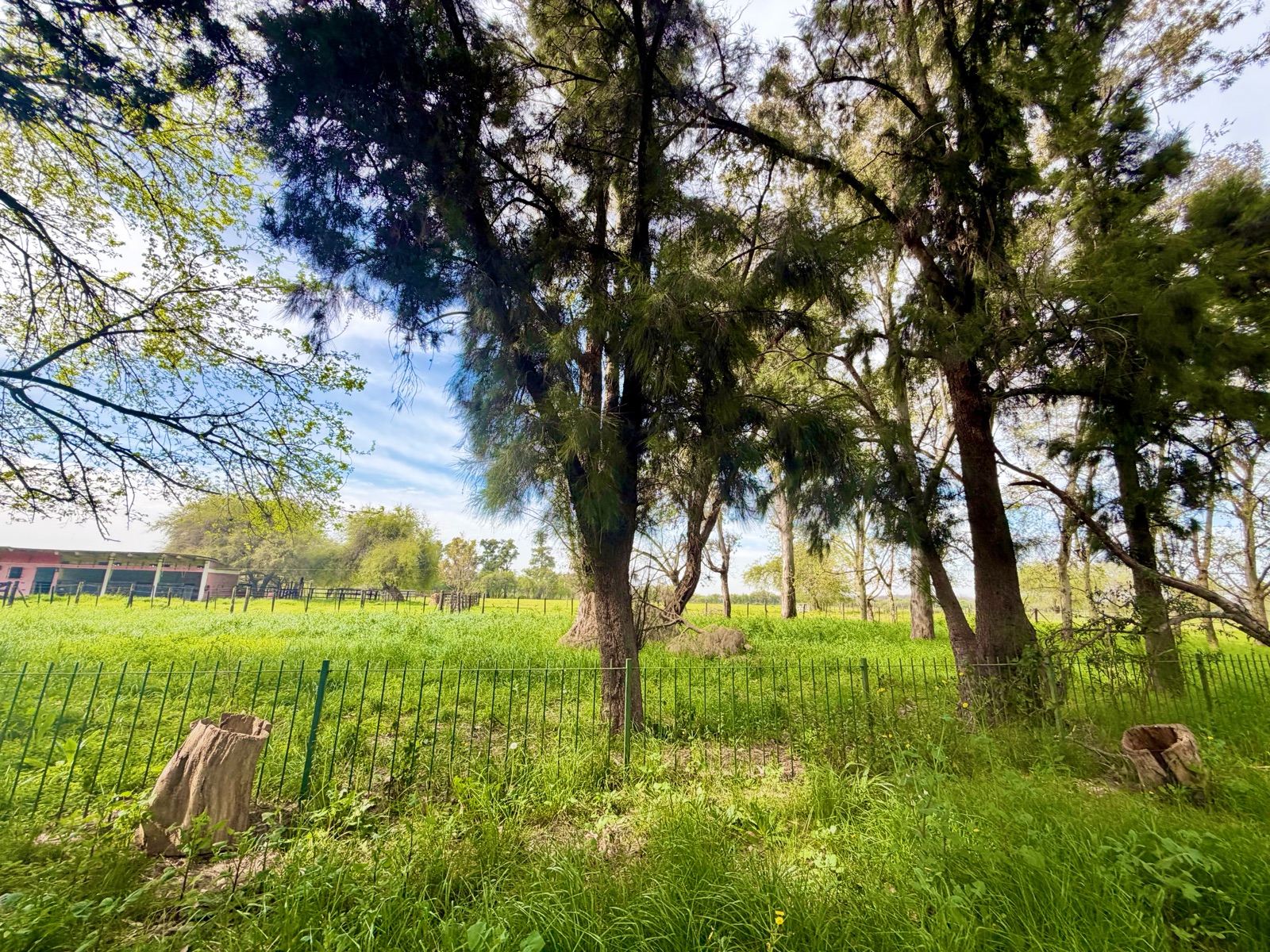 Foto 60