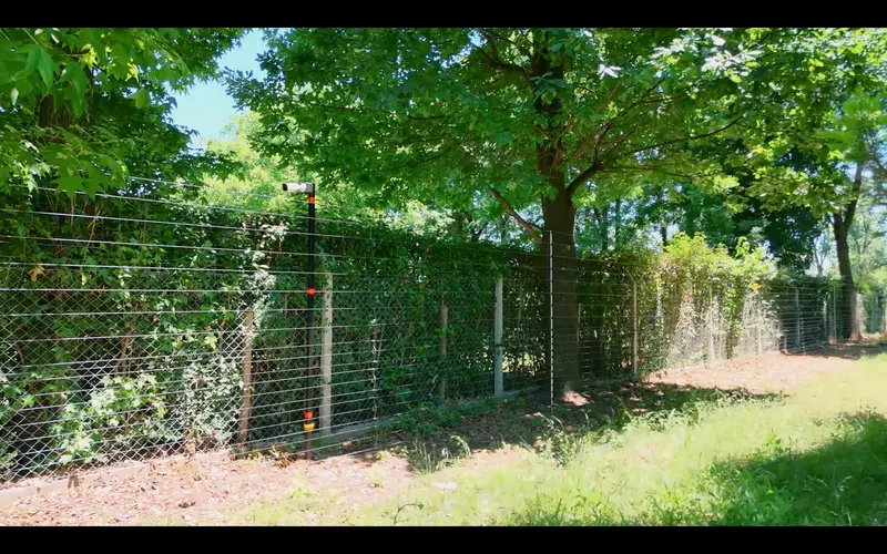 Foto 21