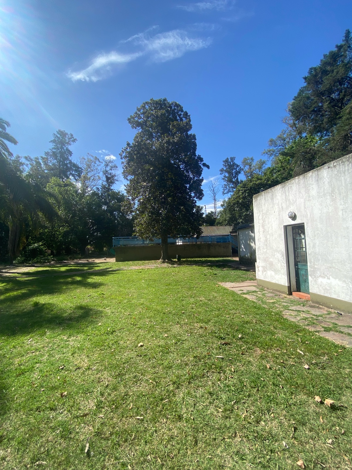 Foto 19
