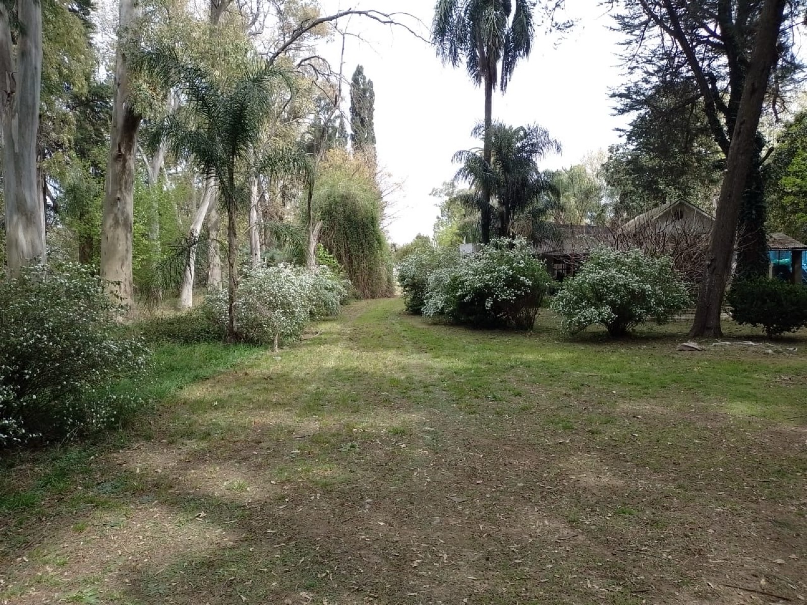 Foto 7