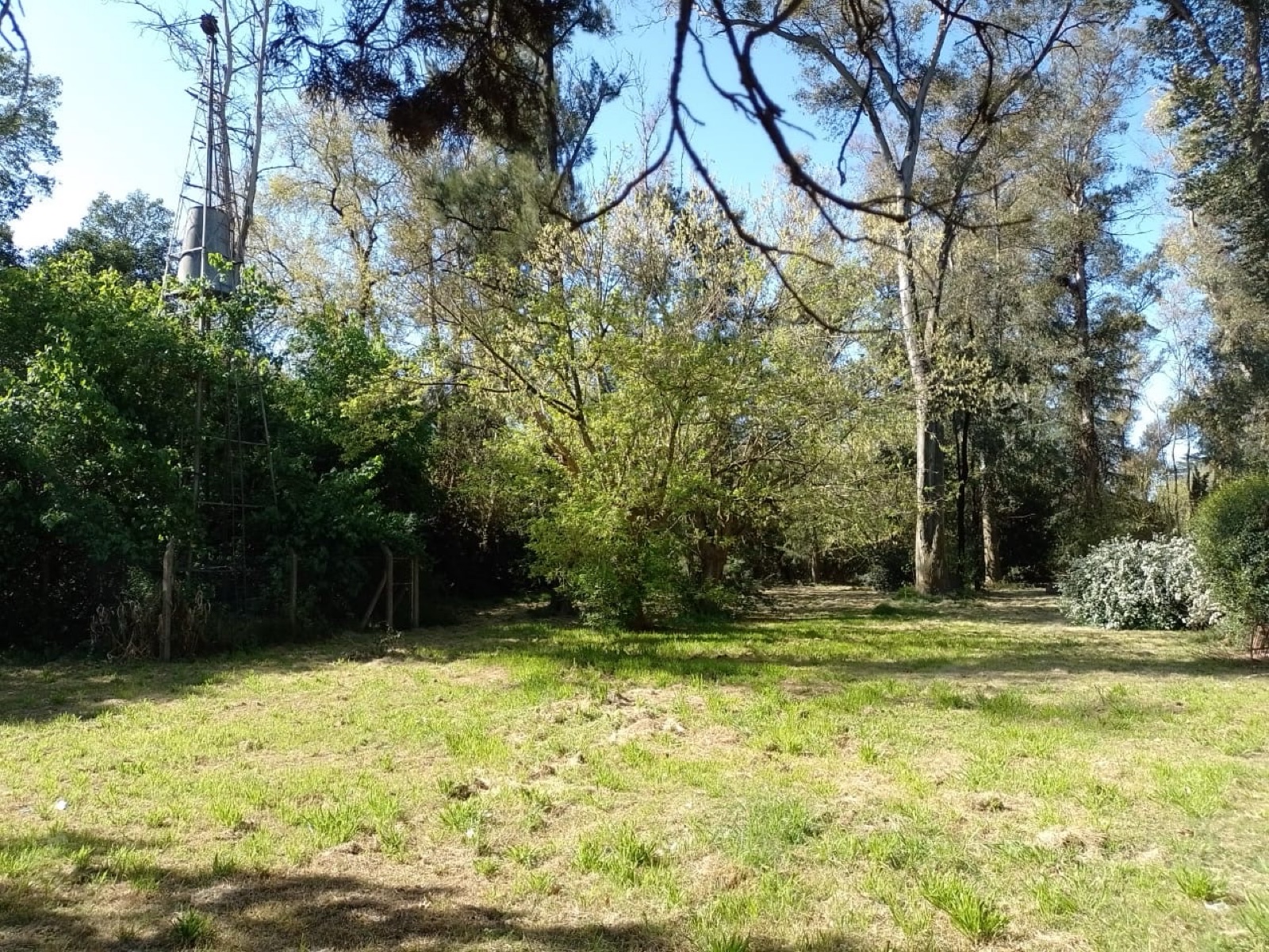 Foto 6