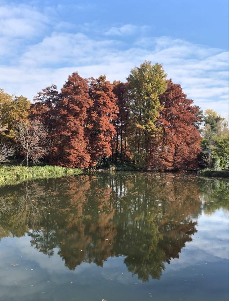 Foto 42