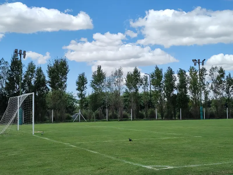 Foto 19