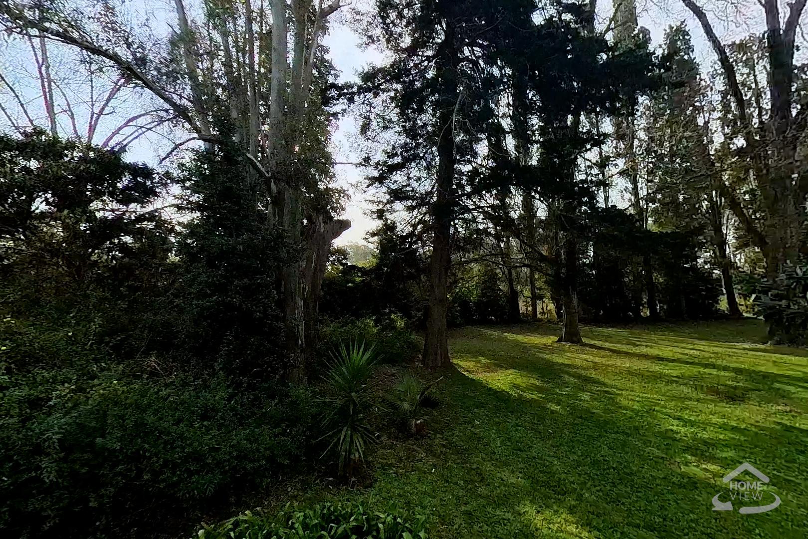 Foto 13
