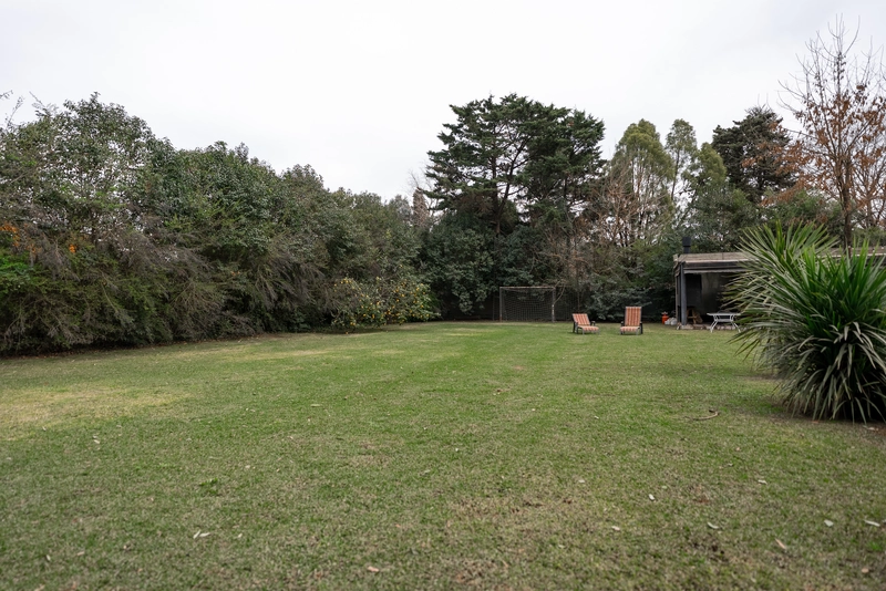 DSC02286.jpg