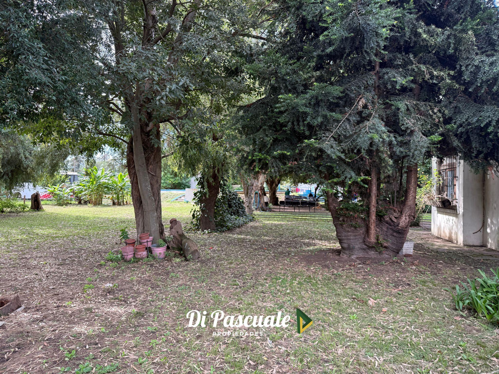 Foto 15