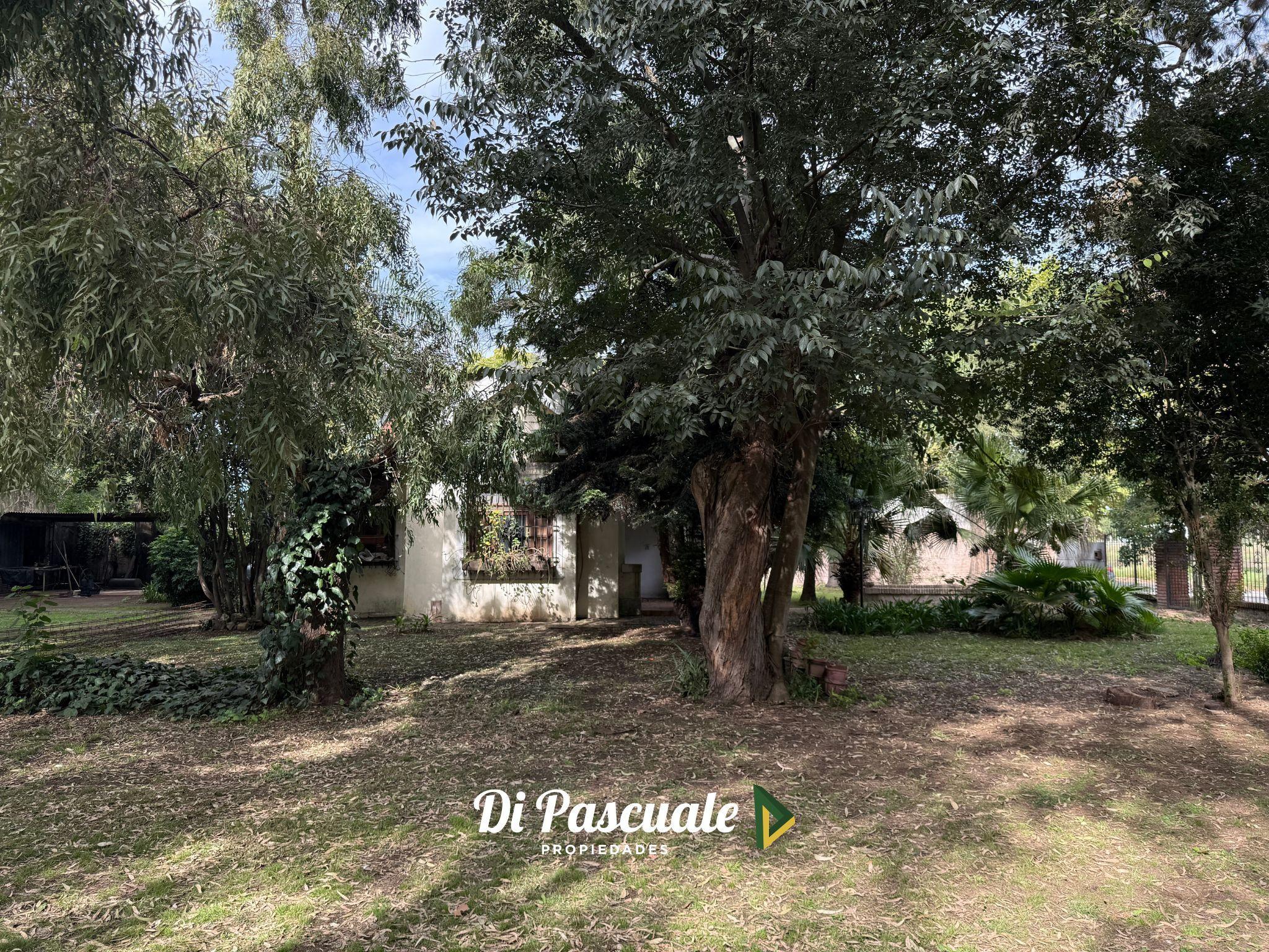 Foto 20