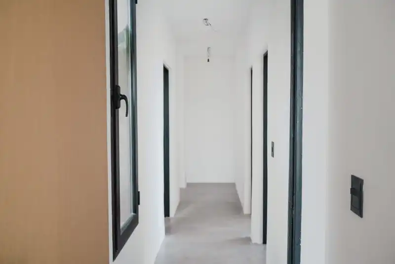 258181.jpg