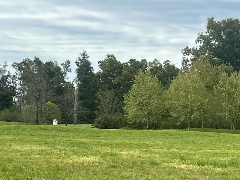 Foto 18