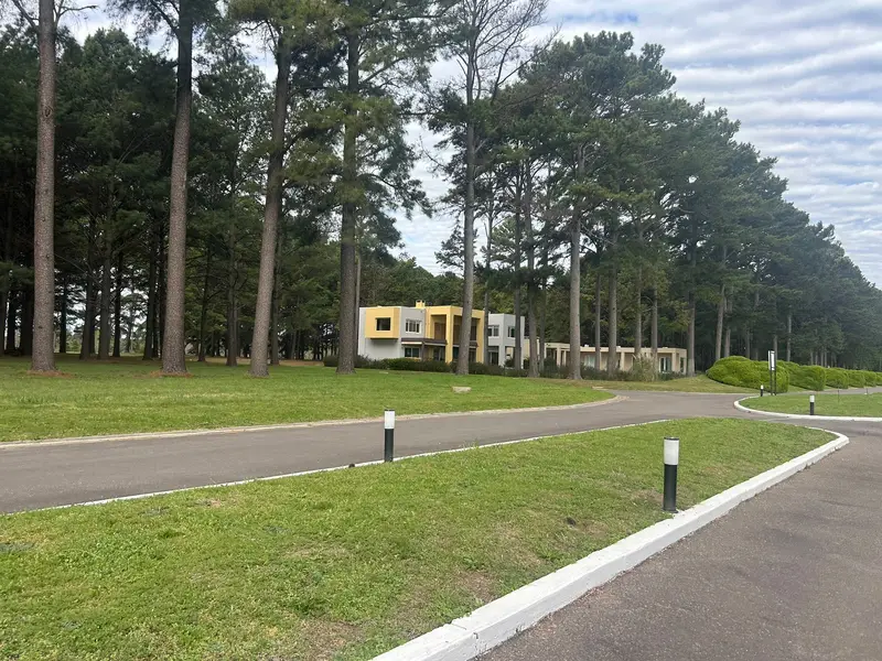 Foto 19