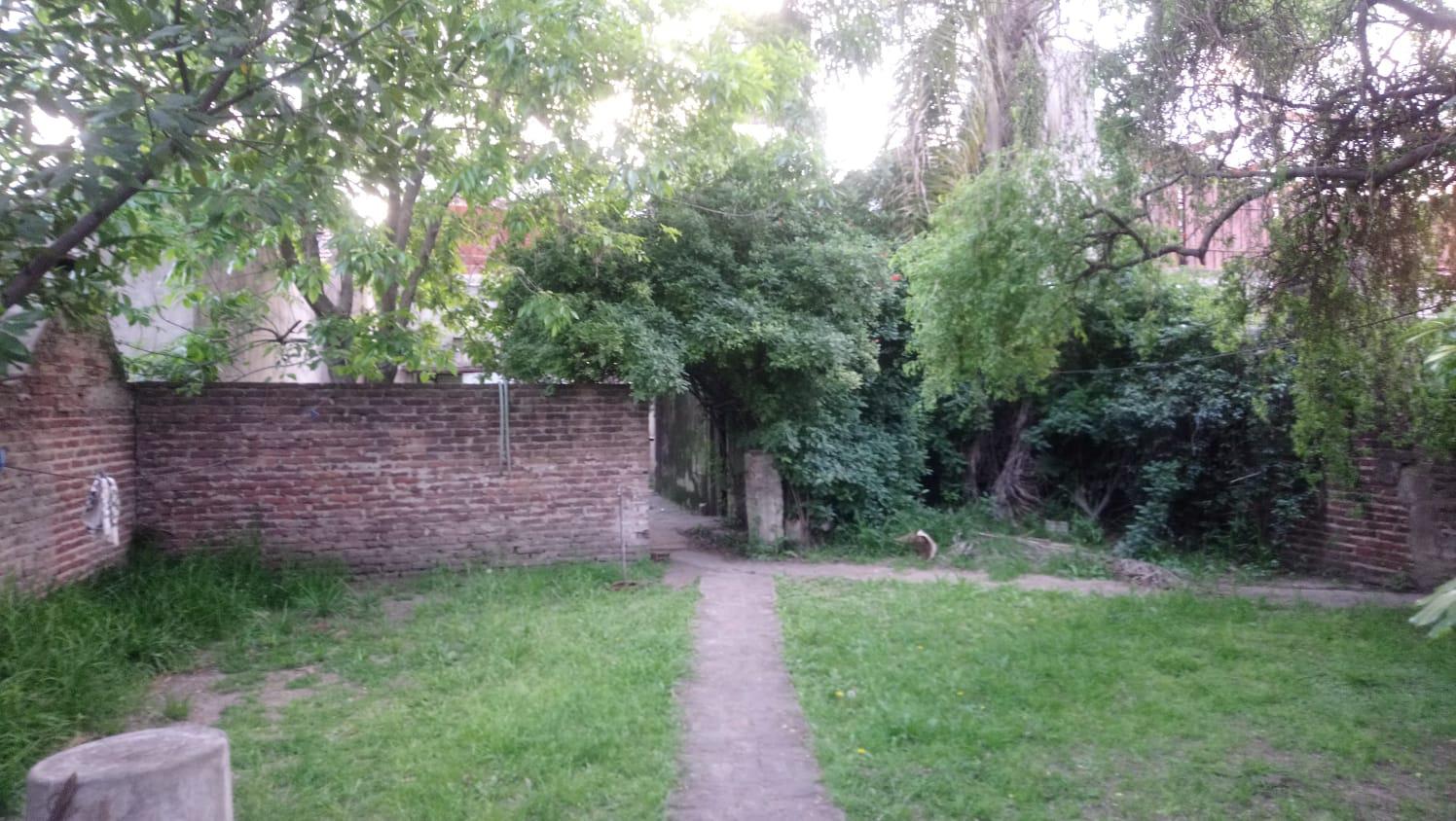 Foto 15