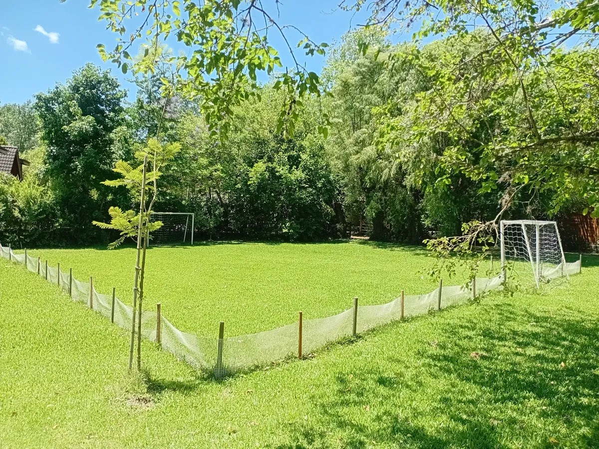 Foto 19