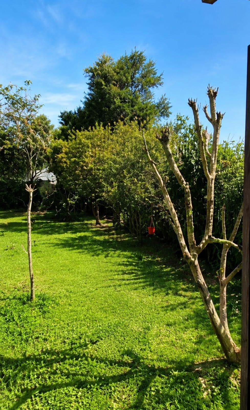 Foto 21