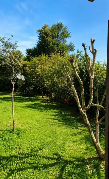 Foto 21