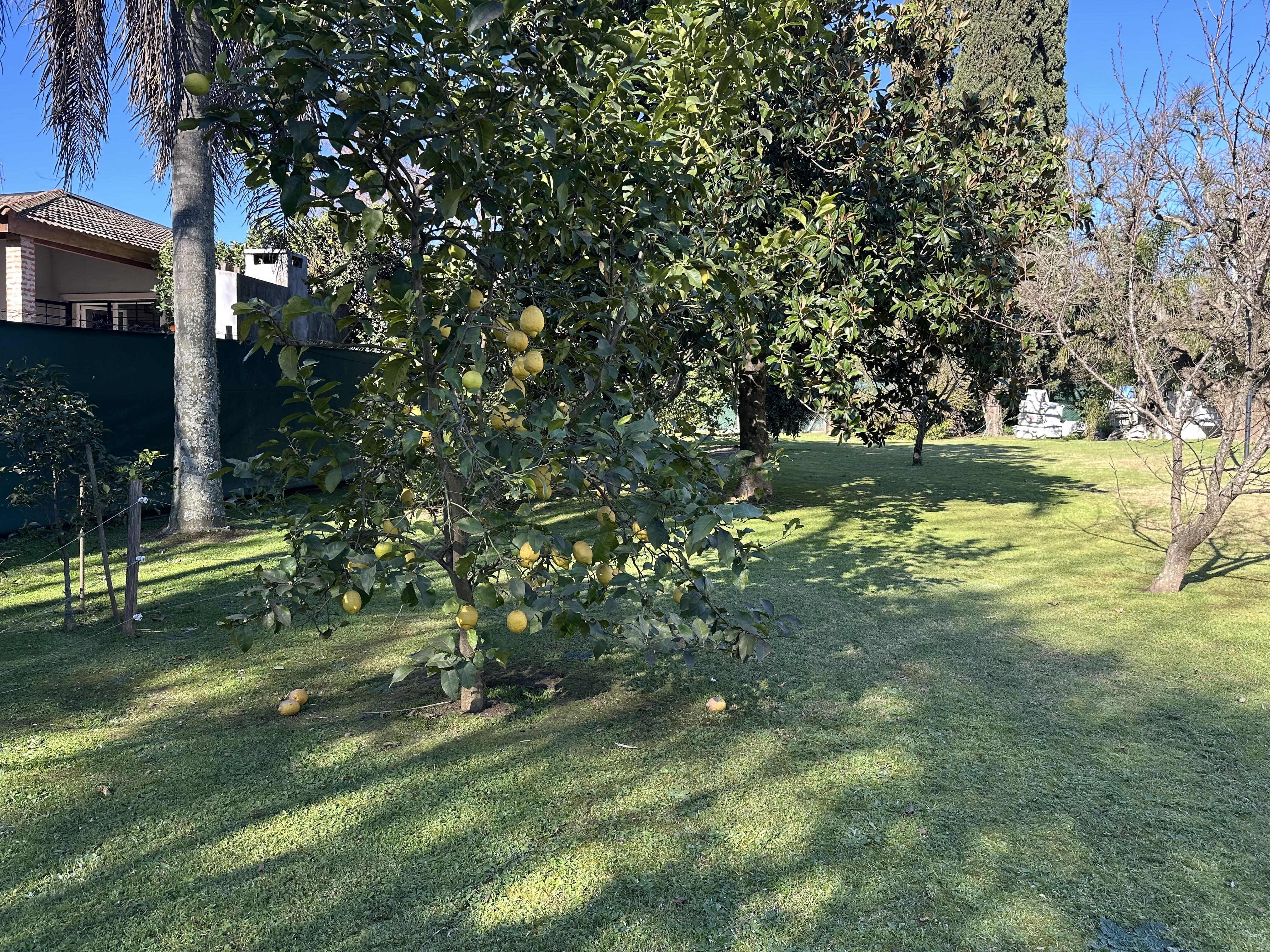 Foto 51