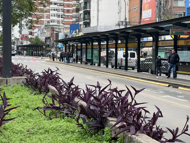 Metrobus.jpeg
