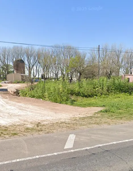 482072.jpg