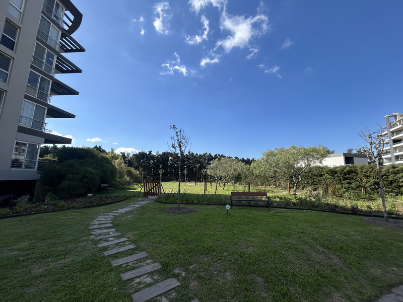 BA2DF4B5-BCBA-4EB6-B267-DE7108BA2E5A.JPG