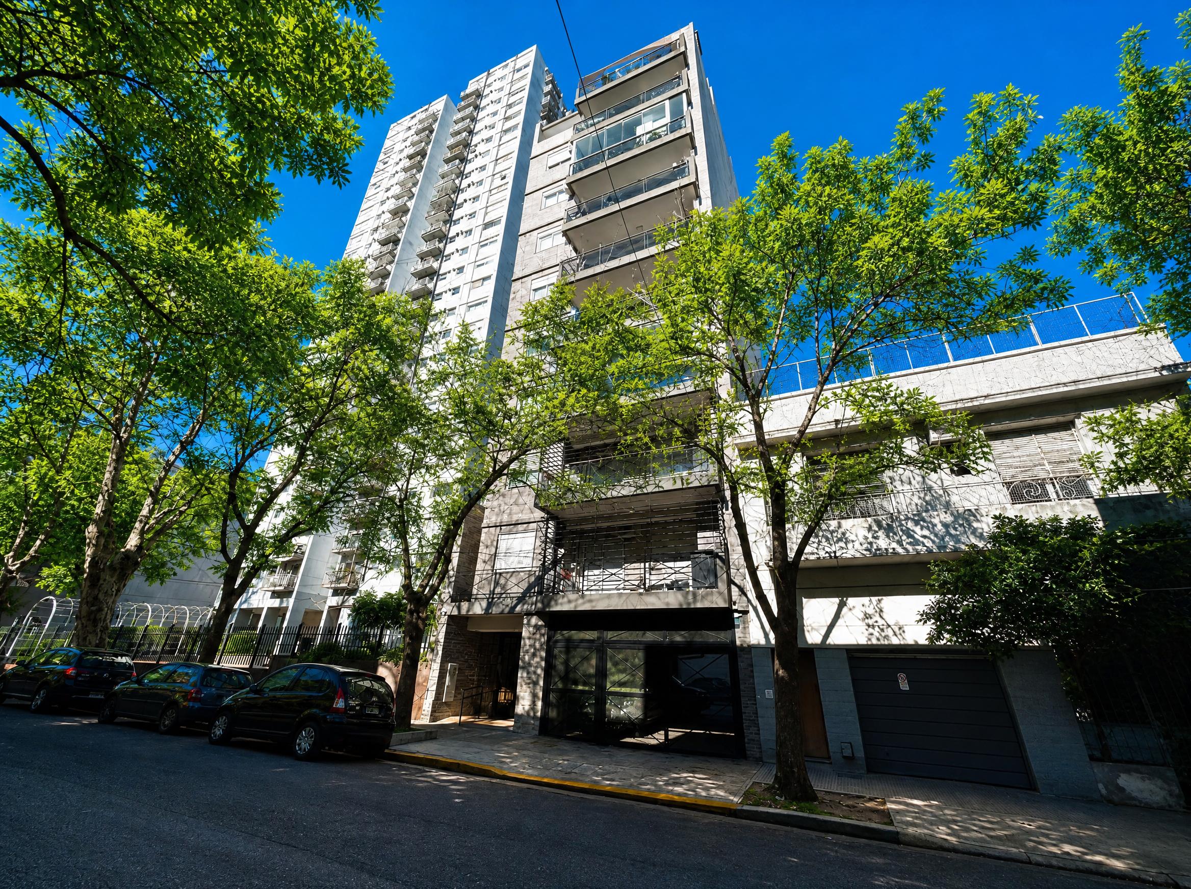 Foto 19