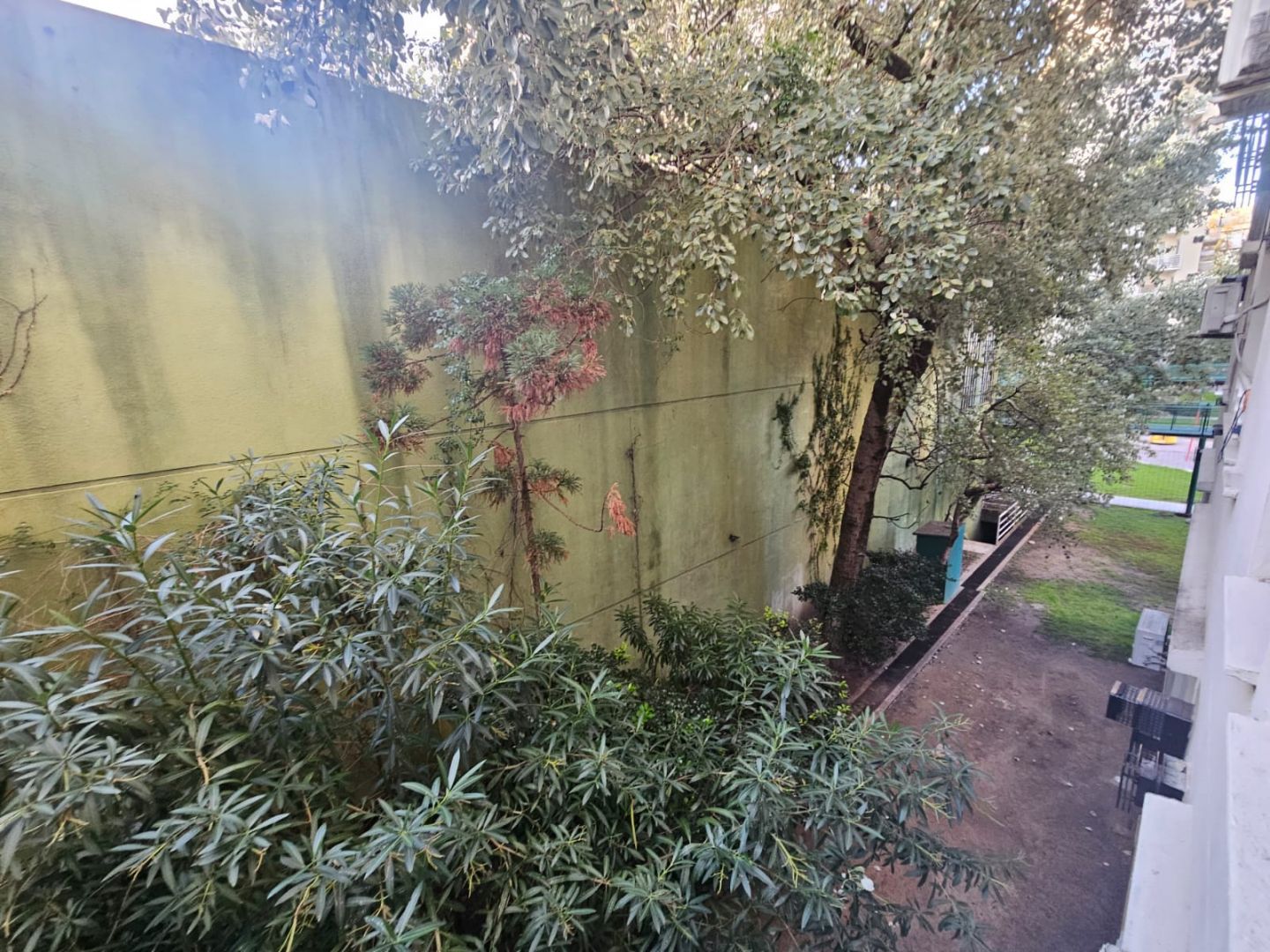 Foto 11