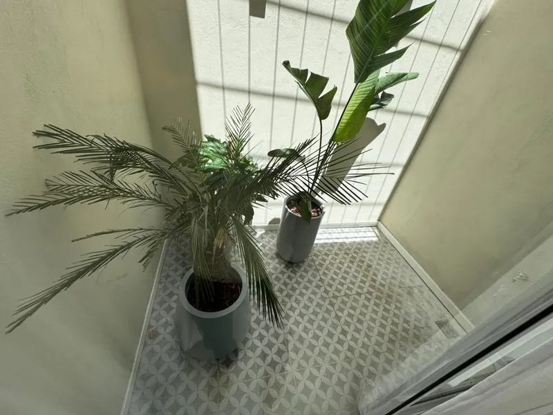 Foto 7