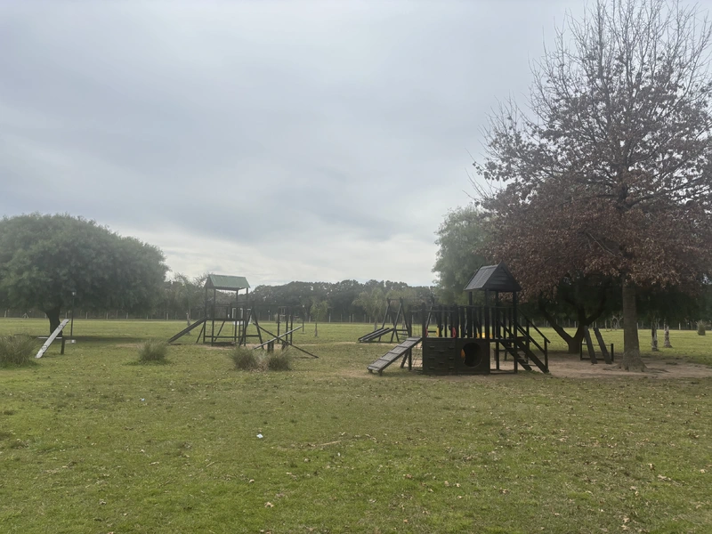 IMG_3032.jpeg