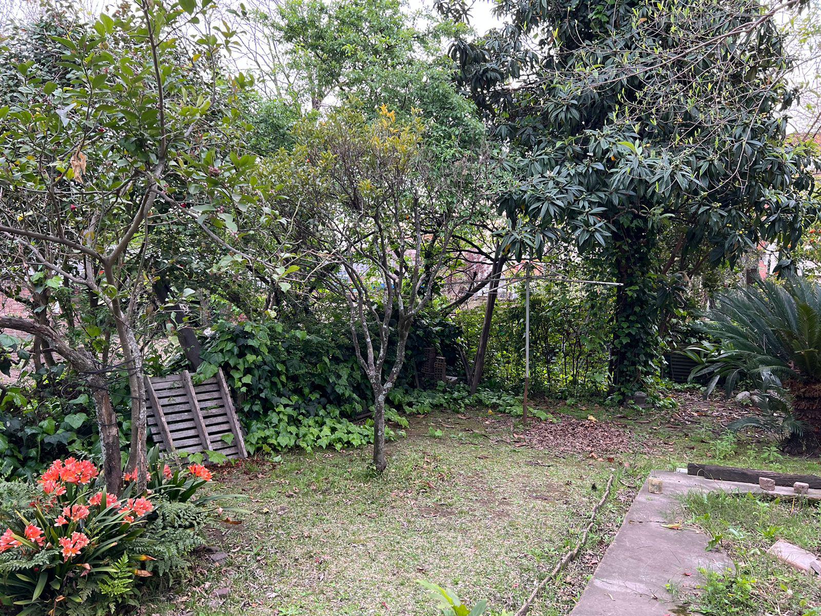 Foto 13