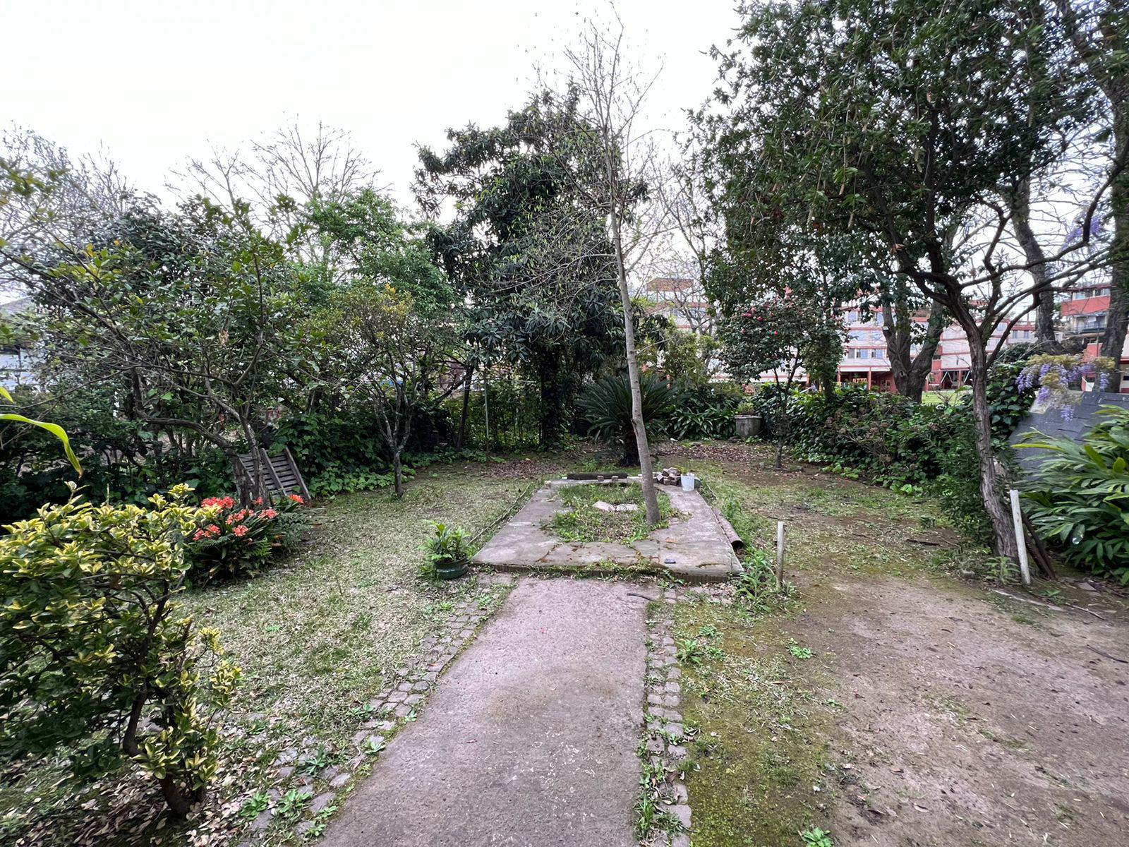 Foto 12