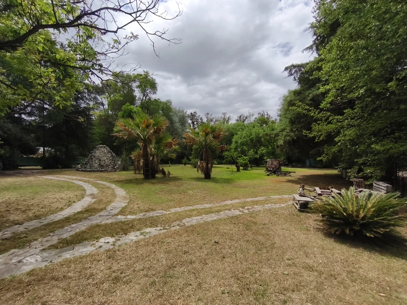 IMG_20251025_123250.jpg