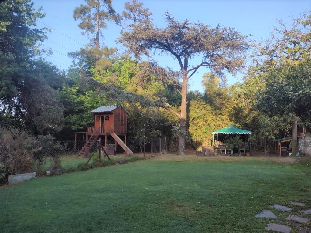 Foto 14