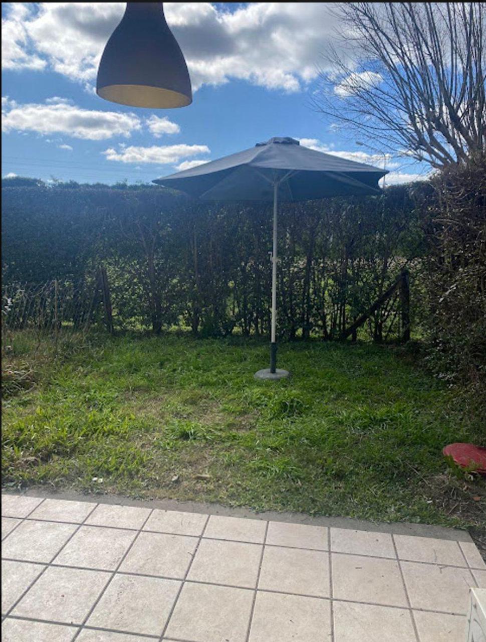 Foto 19