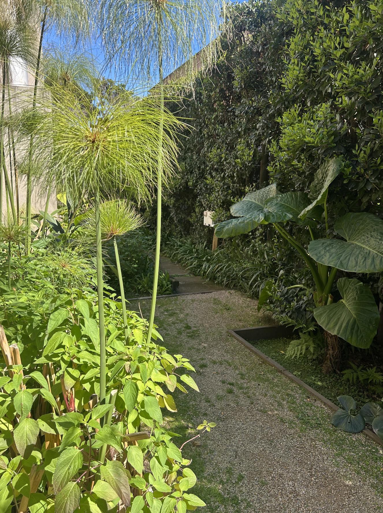 Foto 23