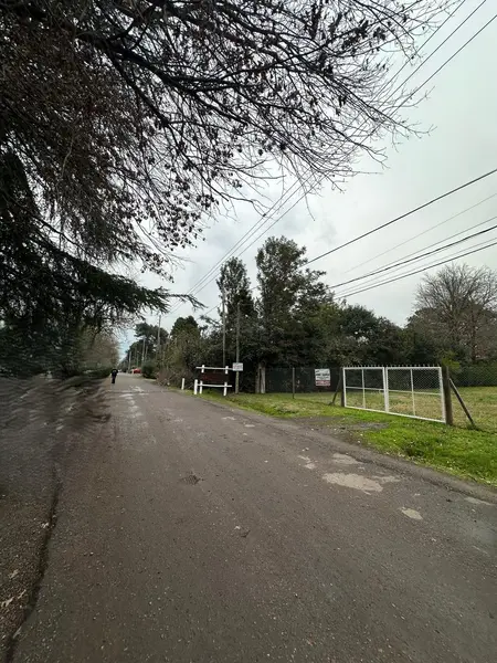 Foto 7