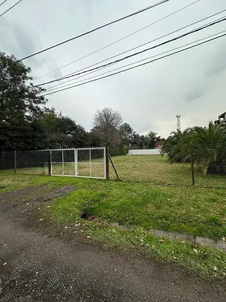 Foto 6