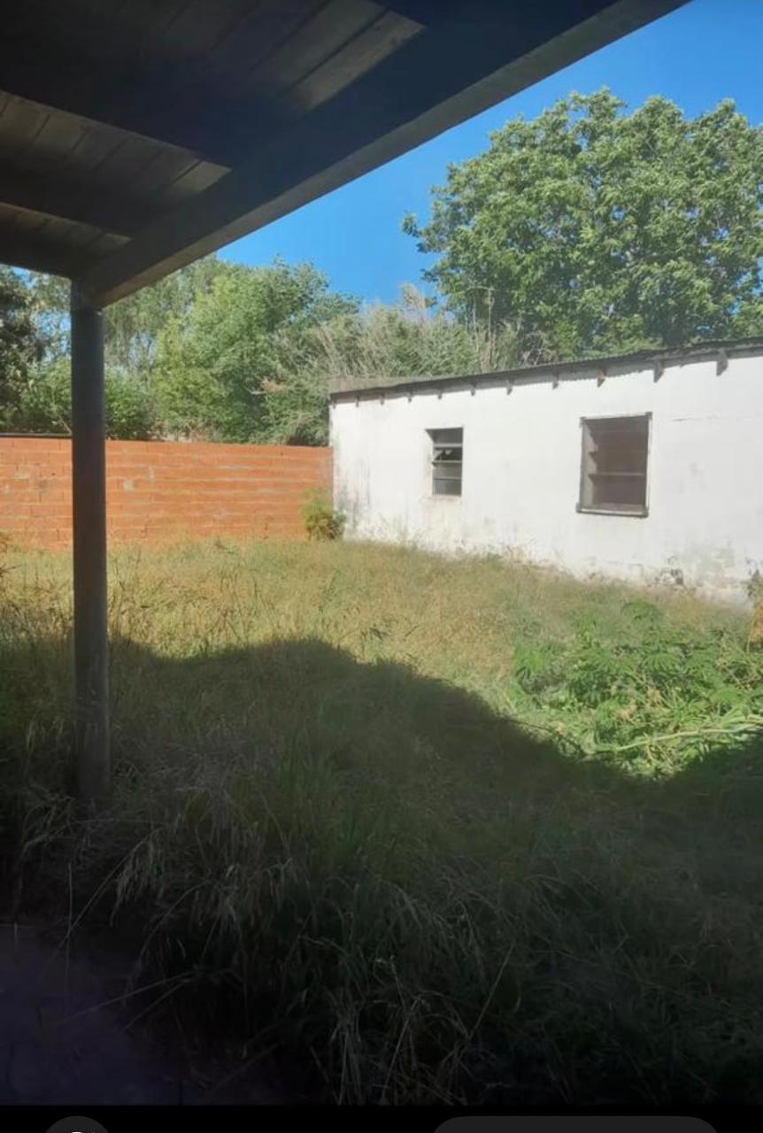 Foto 15