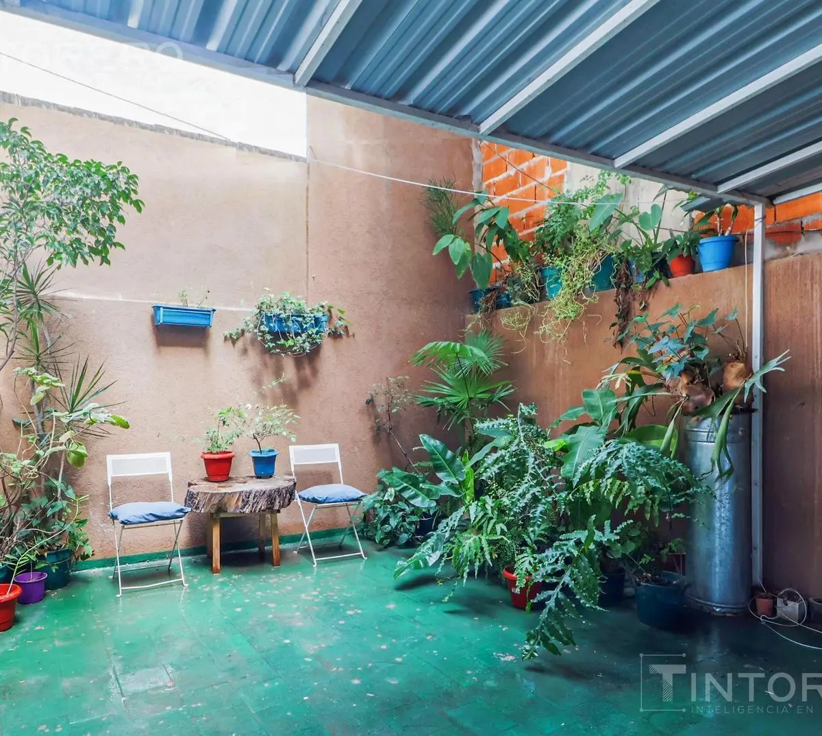 Foto 19