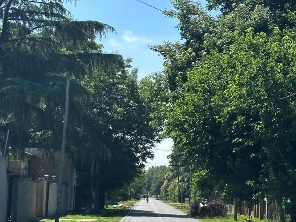 Foto 8