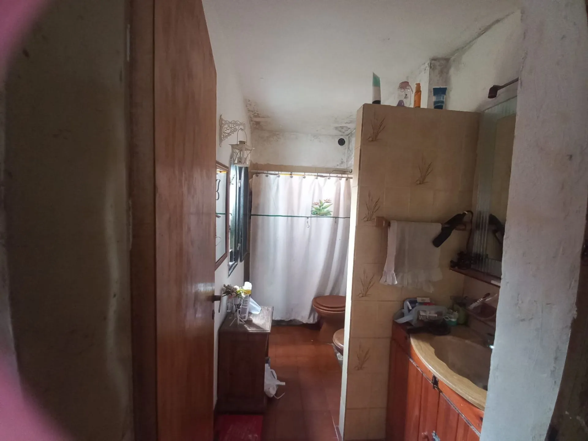 Foto 21