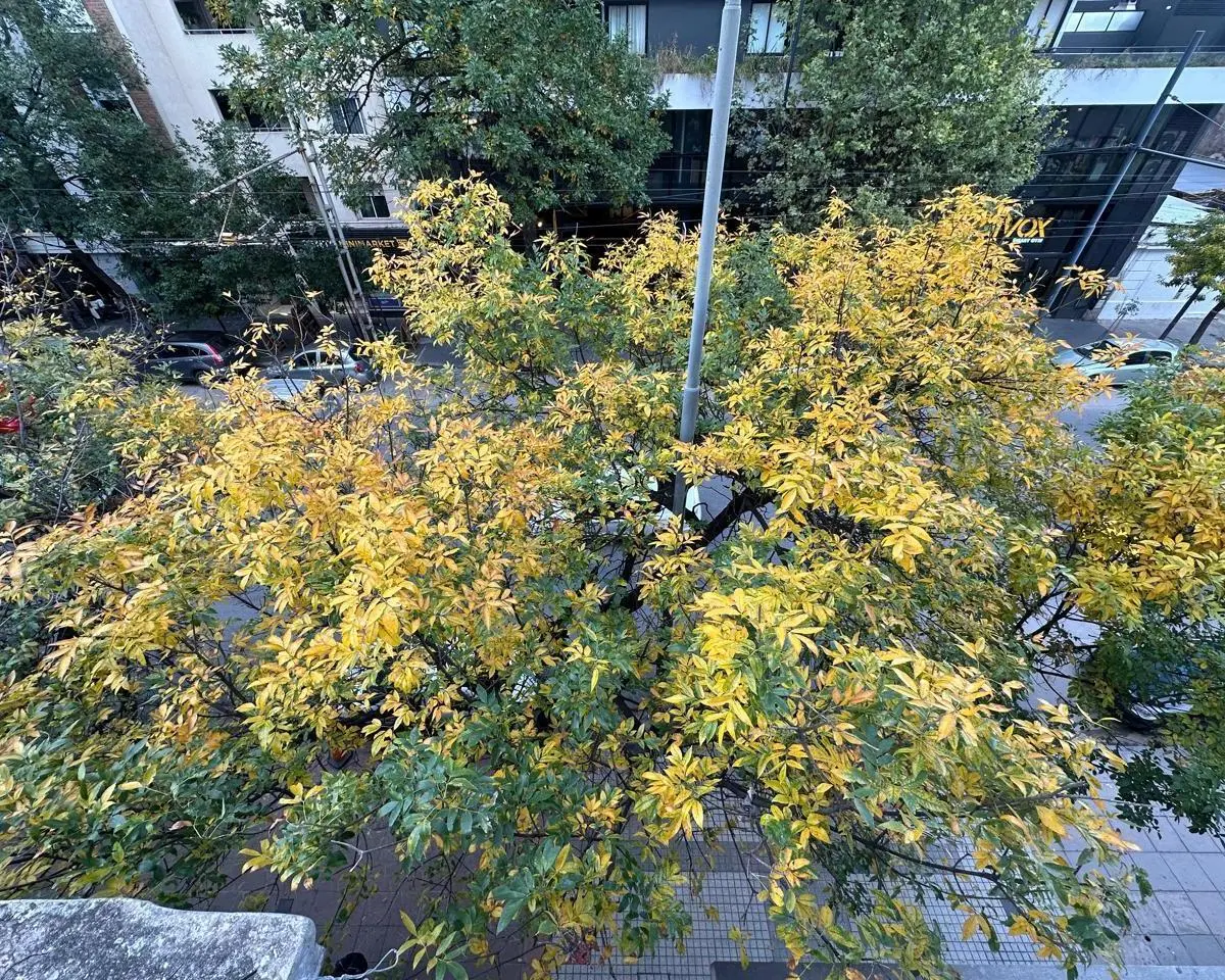 Foto 42