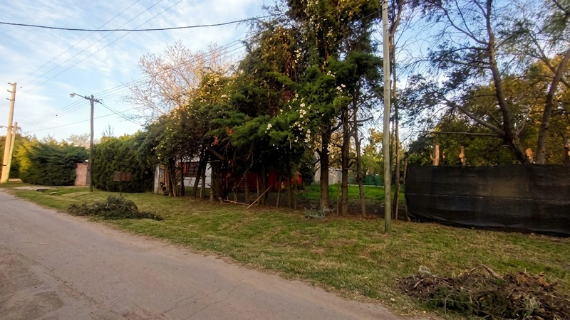 Foto 4