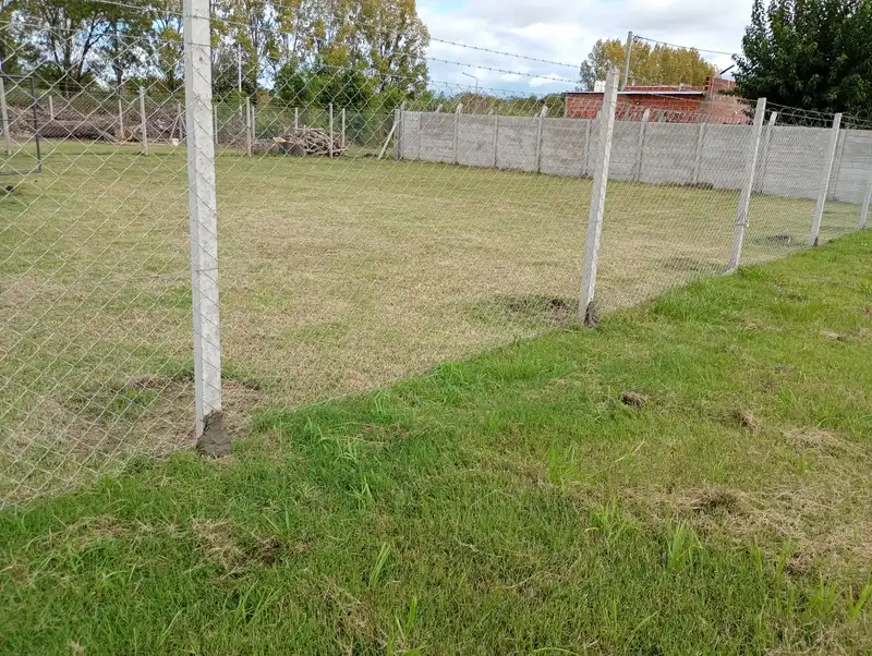 Foto 5