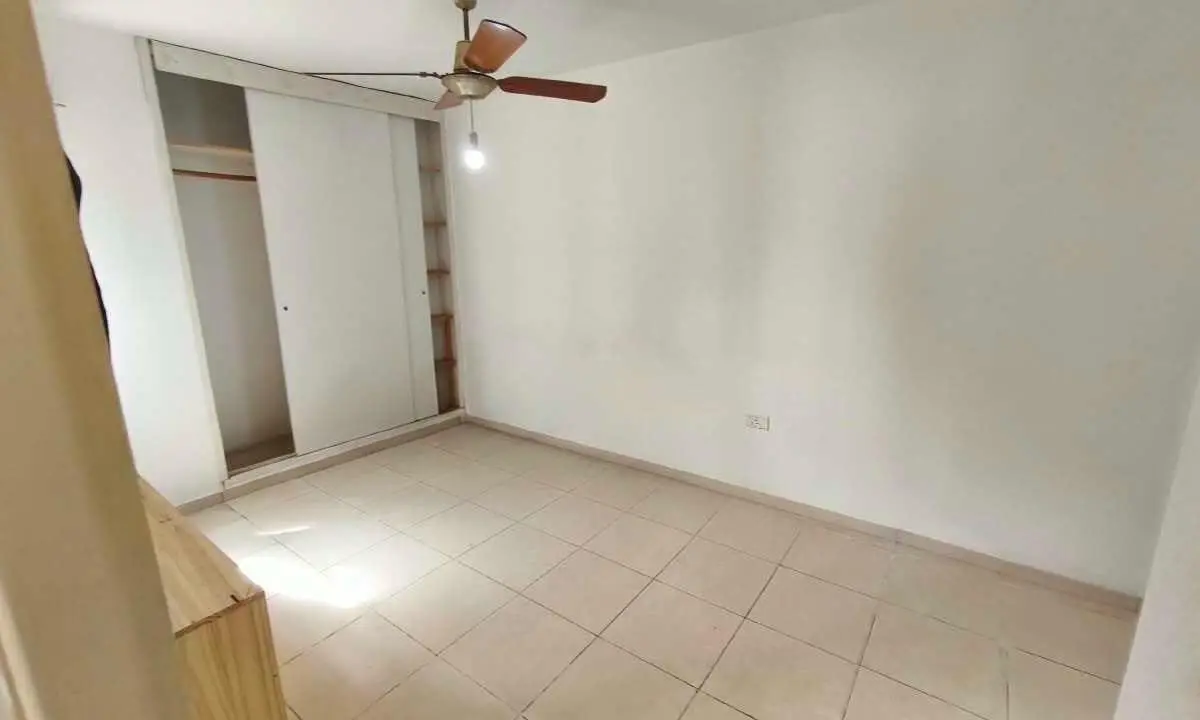 Foto 19