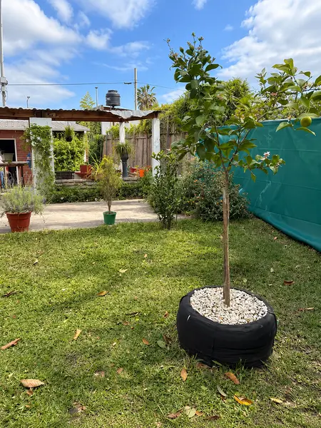 Foto 51