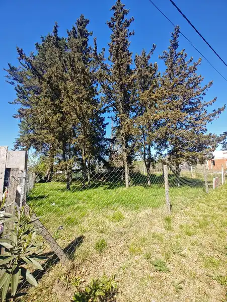Foto 7