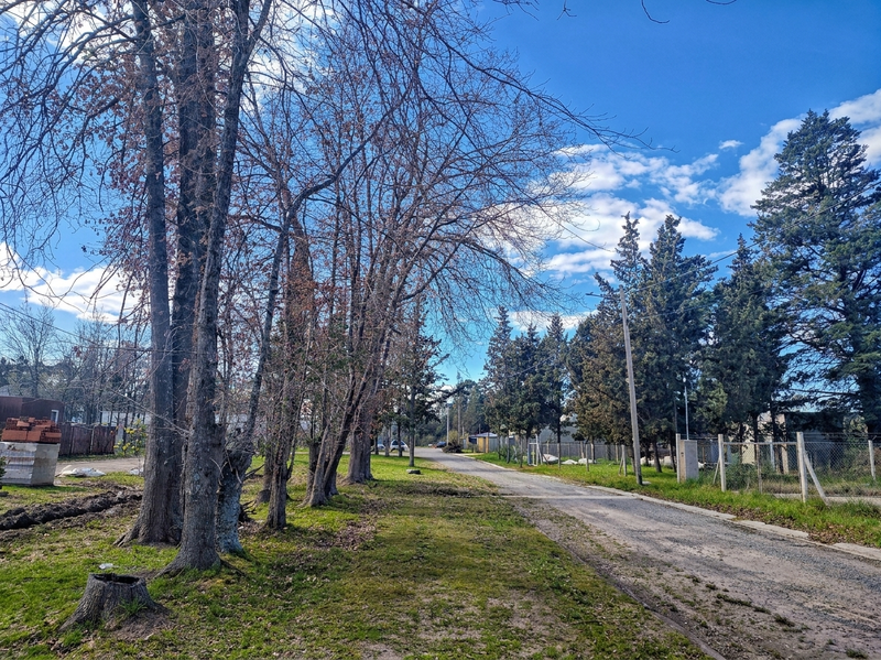 Foto 10