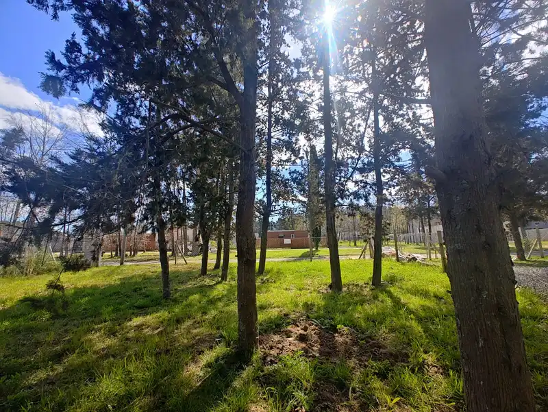 Foto 11