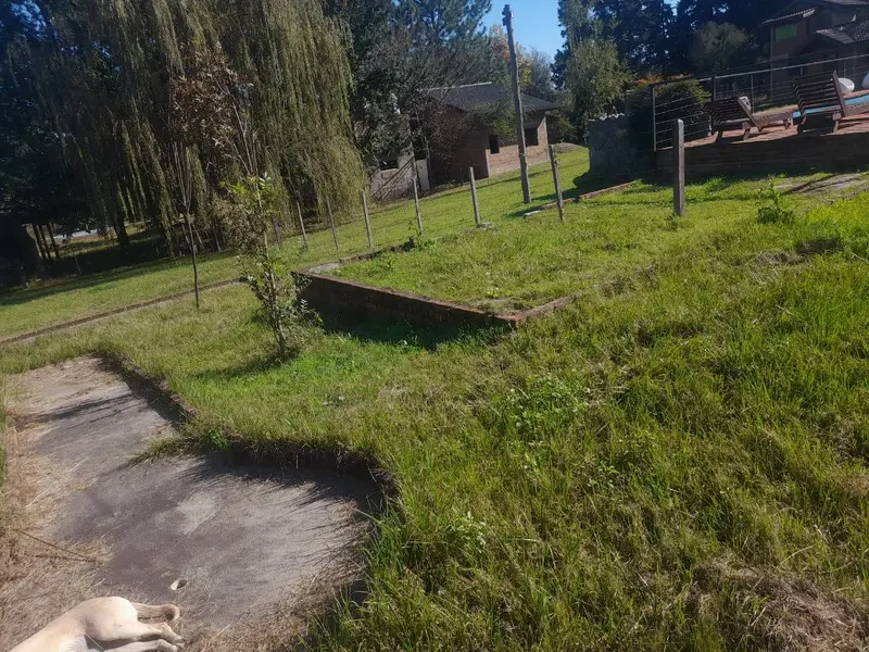 Foto 7