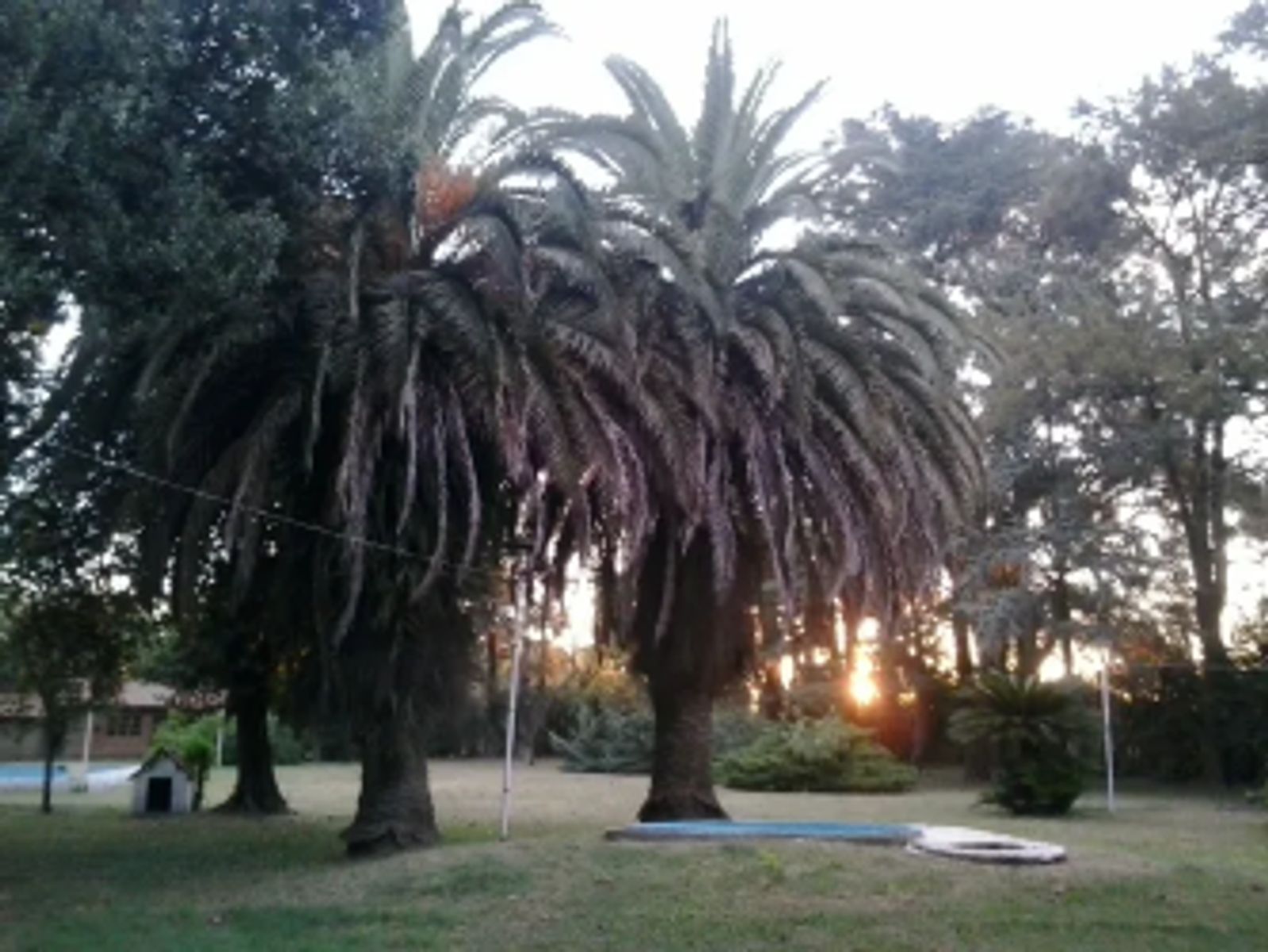 Foto 12